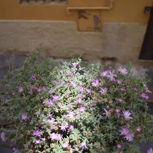 https://casa-san-michele.it-tuscanyhotel.com